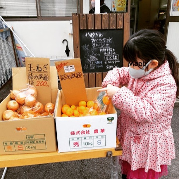 みかんの詰め放題