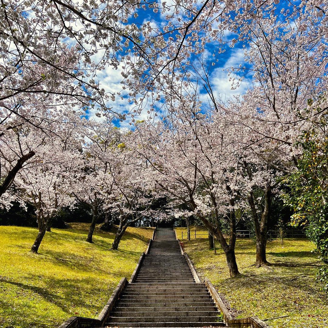 もう春ですね