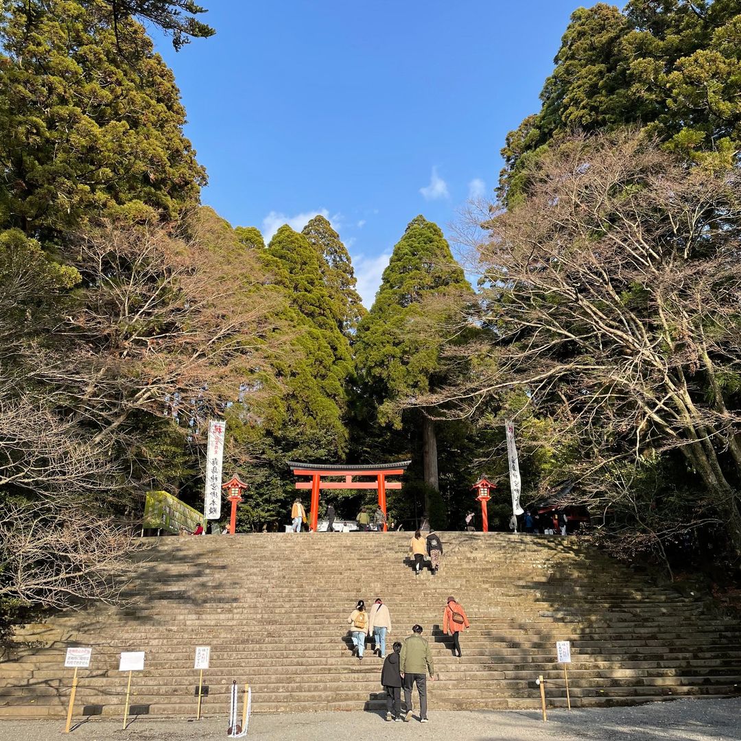 霧島神宮で初詣