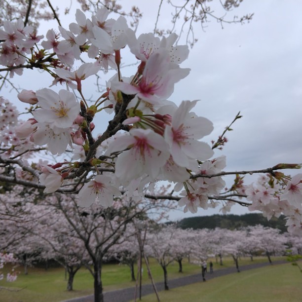 久しぶりに宮崎へ